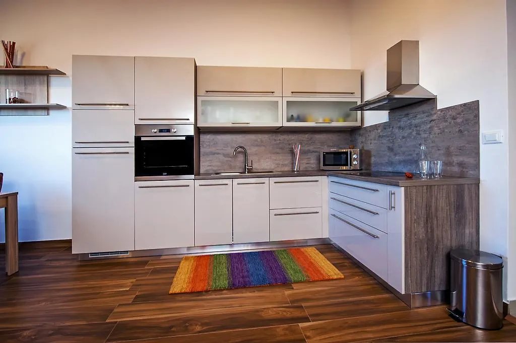 Apartment The Loft 罗维尼